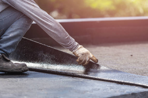 Professional Interior Drainage System technician working in Edmore, MI